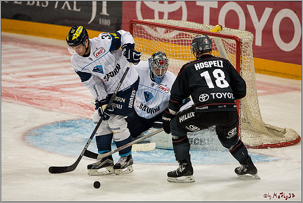 Koelner Haie - ERC Ingolstadt, 23.10.2016